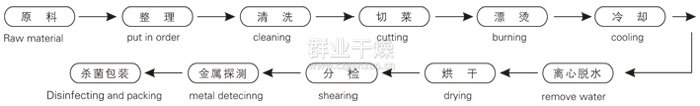 脱水蔬菜带式干燥工艺流程